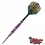 Shot Roman Empire Caesar 95% Tungsten Dart Set