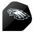 NFL Flights - Philadelphia Eagles