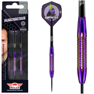 Bull’s Dirk van Duijvenbode Aubergenius Brass Darts